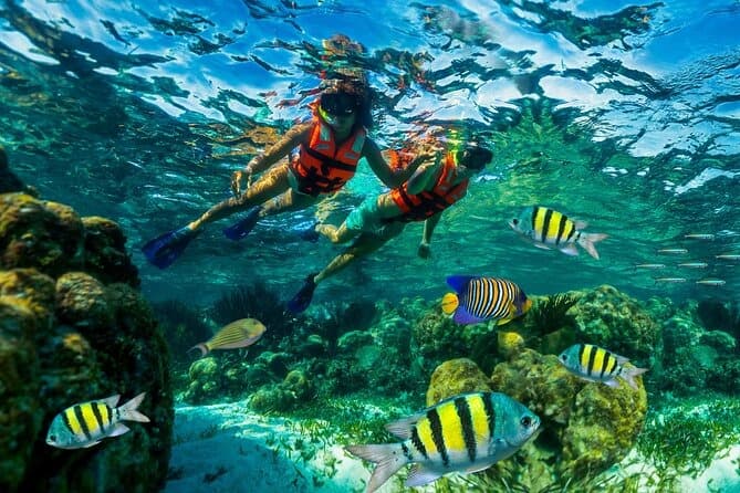 Snorkeling